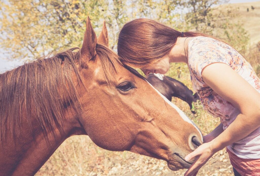 Best Gifts for Pet Lovers: Unique Ideas for the Perfect Present