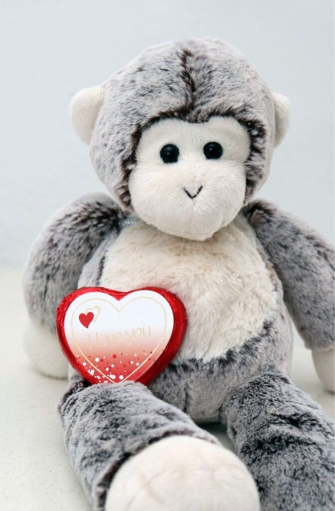 Kids Valentines Gift Stuffed Animal