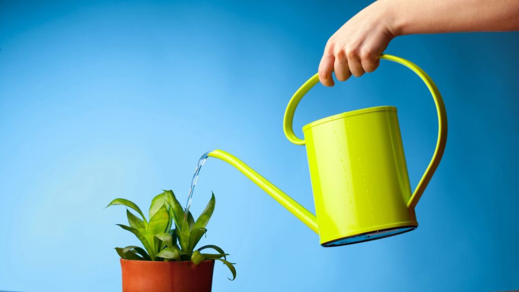 Watering Can