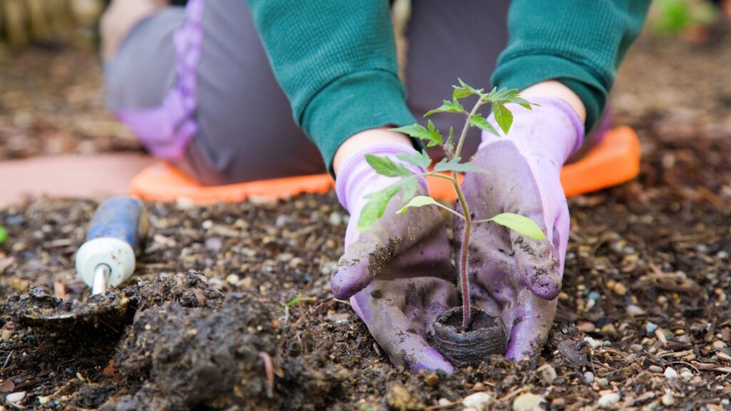 Gardening Gloves