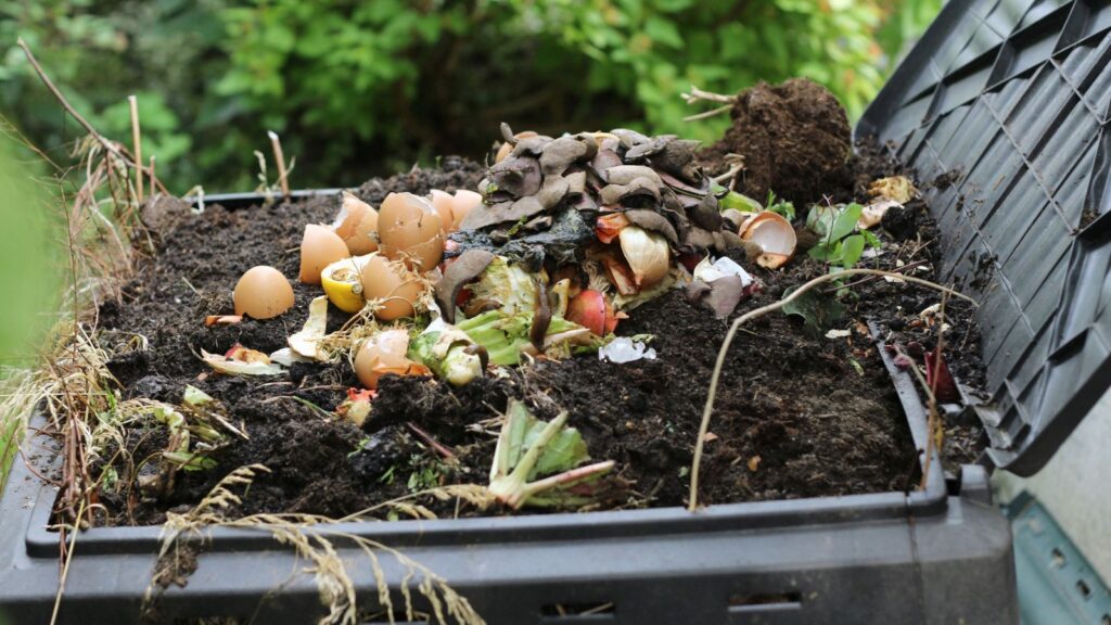 Compost Bin