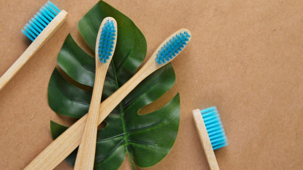 Bamboo Toothbrushes