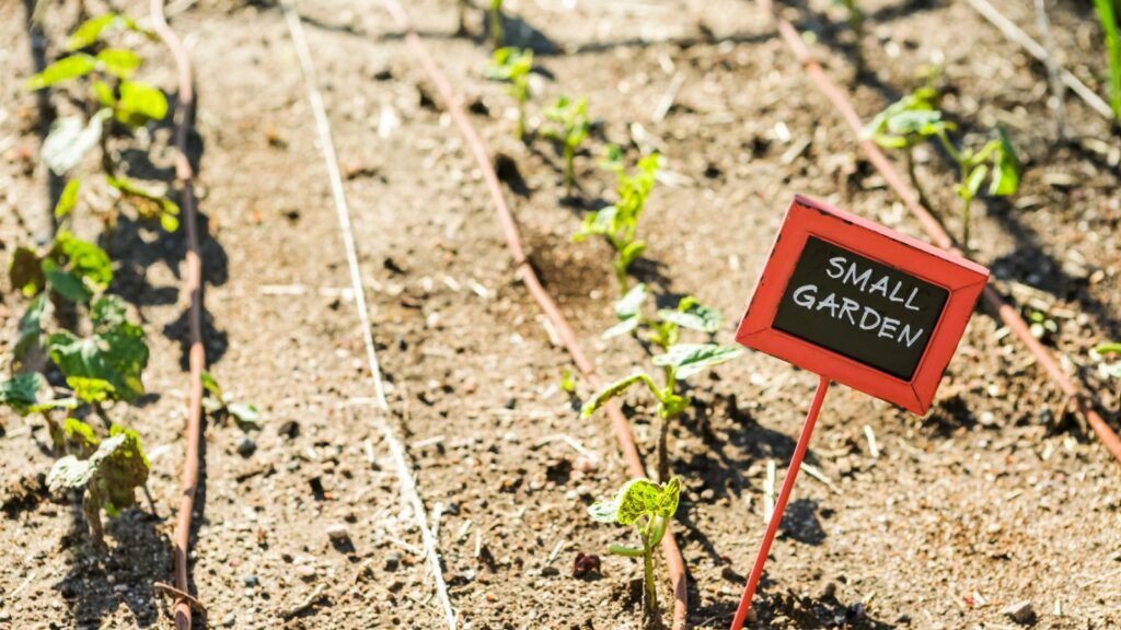 Decorated Plant Markers