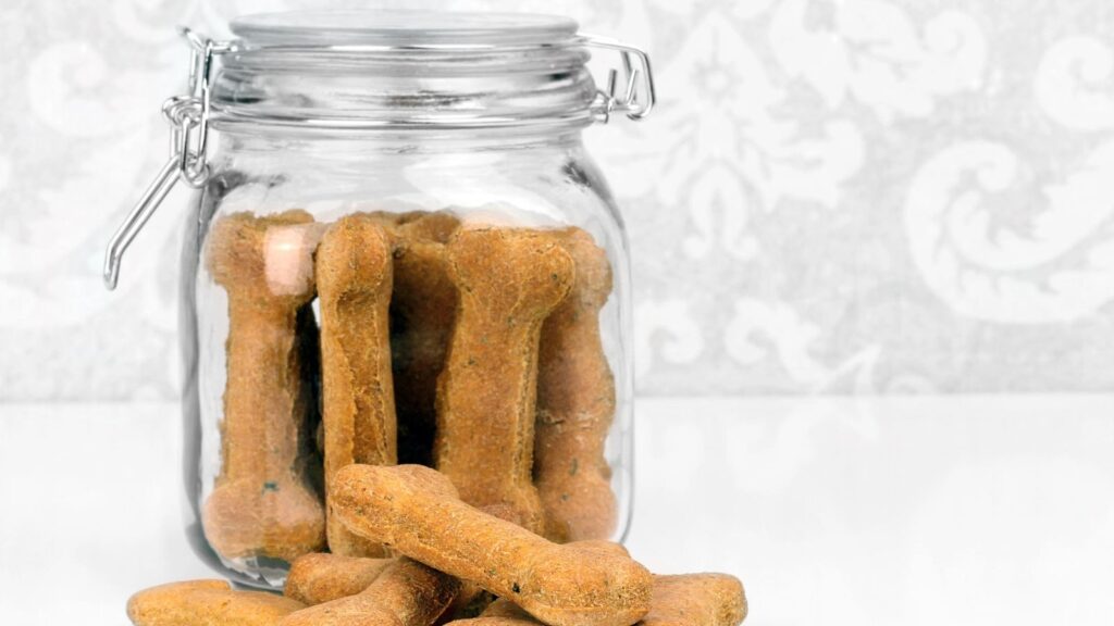 Pet Treat Jar