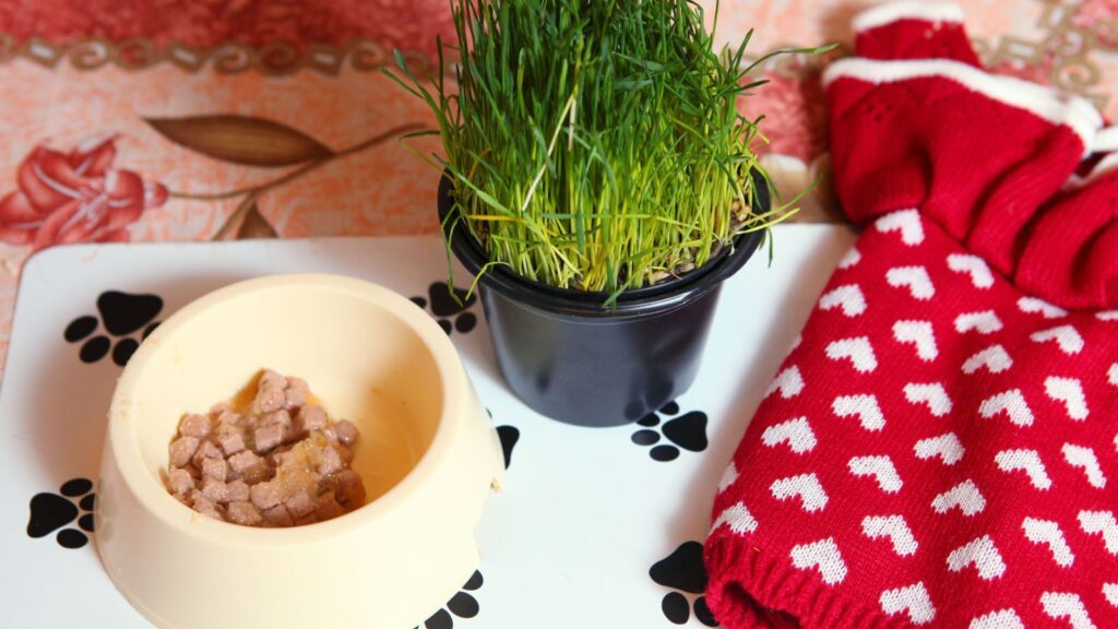 Pet Bowl Mat